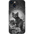 Alchemy Paracelsus - The Philosophers Familiar iPhone 13 Skin